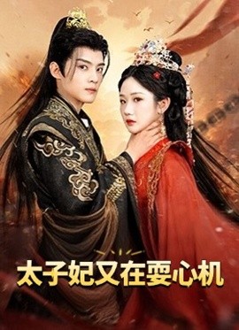 太子妃又在耍心机 人家才不是坏女人