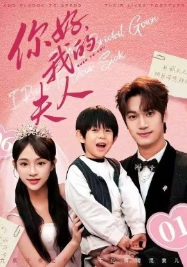 顾总，我才是你的夫人 你好，我的夫人