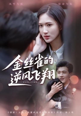 金丝雀的逆风飞翔