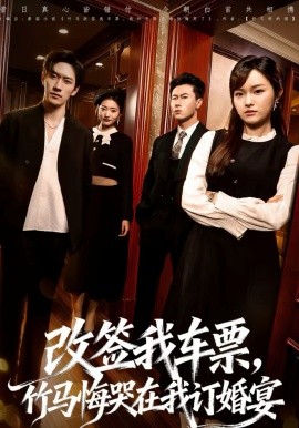 改签我车票，竹马悔哭在我订婚宴